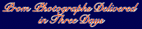 wpe3.gif (10304 bytes)